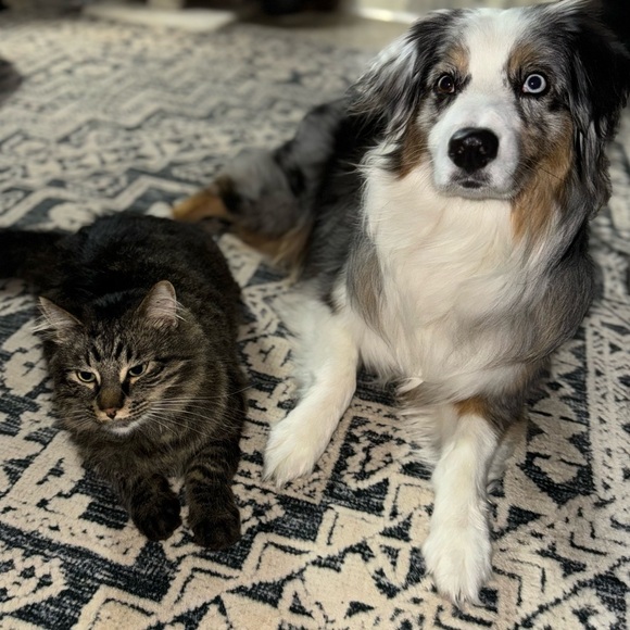 🙏🏽 THANK YOU 🙏🏽 - Picture 13 of 15